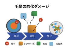 酸化＝老化＝乾燥、、、、酸化の原因である[活性酸素]を唯一除去できるのが水素☆