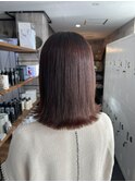 カカオブラウン♪【新田】