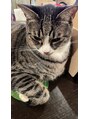 ルオーブ(L'aube)&nbsp;猫が好きです