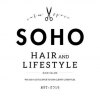 ヘアアンドライフスタイル ソーホー(hair and lifestyle SOHO)のお店ロゴ