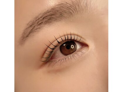 グラフ(graff)の写真