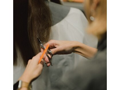 ジ テトラ(24 Di tetre)の写真