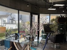 キャラクター 松山市(character)の雰囲気（非日常な空間でドリンクサービスやリラクゼーションを提供）