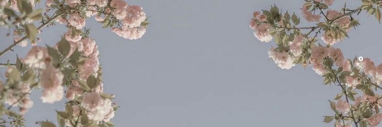 ミョンシルのサロンヘッダー