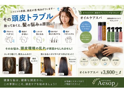 ヘアーメイク イソップ(Hair Make Aesop)の写真
