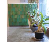 サイン(sain.)の雰囲気（植物の多いヘアサロンです）