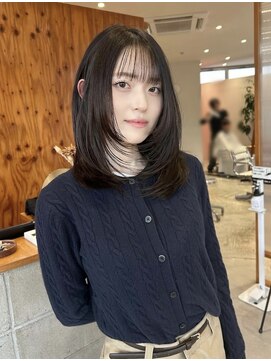 ソル(SOL) レイヤー