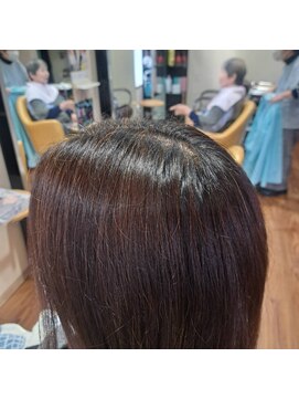 パンプキン(PUMPKIN) 天然ヘナでトリートメント効果