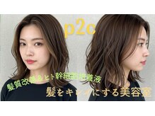 ヘアーデザイン ピニック(hair design P2C)