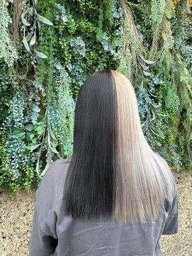 ノーブルヘアー(NOBLE HAIR) ツートン