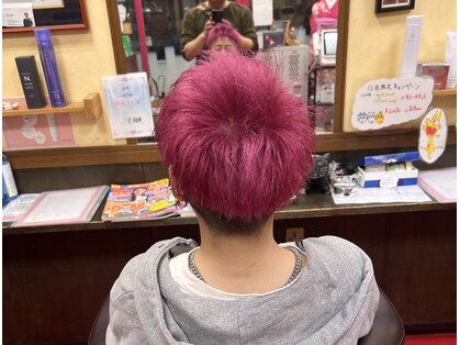 ガラ(GALA)の写真