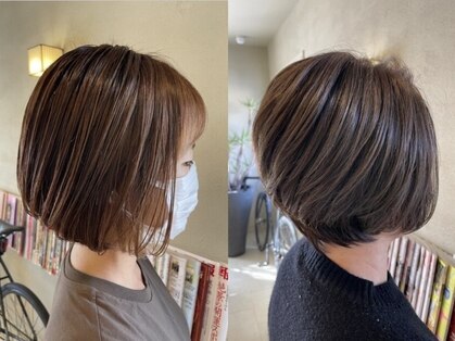 ケストラ(KESTRA)の写真