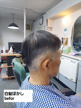 ニシ(nishi) 自然パート