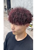 レッドツイスパマッシュ
