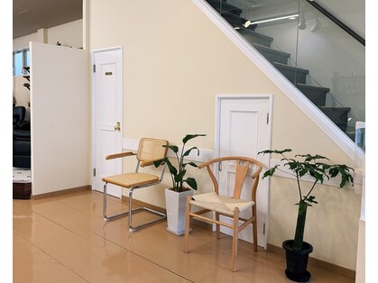 ニディー バイ デイジー(Nidee by Daisy)の写真