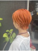 スカーレットショート