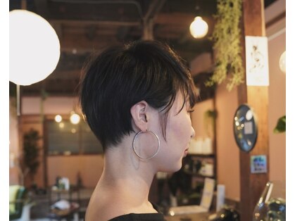 床の間の写真