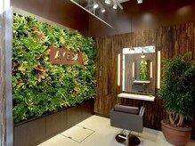 緑あふれる店内で心も体も癒されて贅沢なサロンタイム【AVEDA】