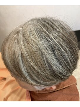 メイン クーン(Maine Coon) マーブル