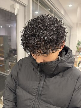 トレイル(Trail) プードルマッシュ