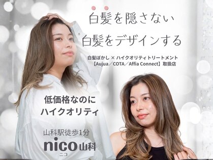 ニコ(nico)の写真