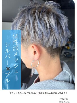 アイリス(IRIS) 個性派メッシュシルバー×ブルー