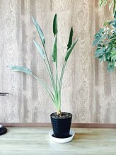 ヘアデザイン フルカウント(Hair Design FULL COUNT)&nbsp;塩井 磨侑美