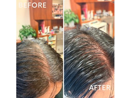 グレース(grace)の写真