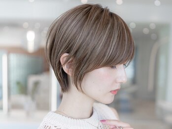 maison ARBLE 向ヶ丘遊園/登戸【メゾン　アルブル】