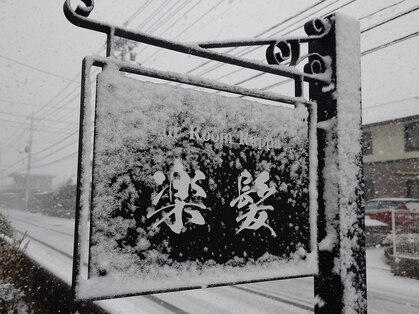 ラッパ(Rappa 楽髪)の写真