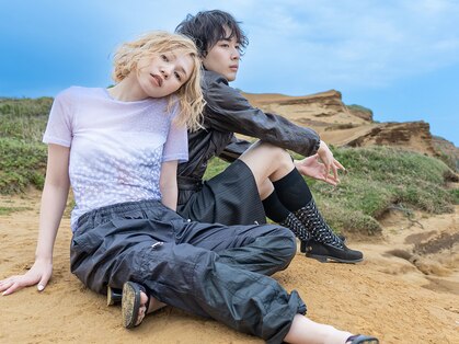 カンナ(Canna)の写真