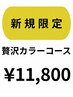 新規限定★贅沢カラーコース（通常￥15,100⇒￥11,800）