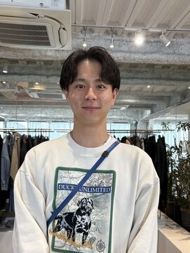 エニイ(ANY) NuancePerm 【SHIBA】