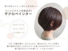 ミューズ 新浦安店(HAIR&NAIL MUSE)の雰囲気（髪も頭皮もやさしく染めるノンジアミン白髪染めザクロペインター）