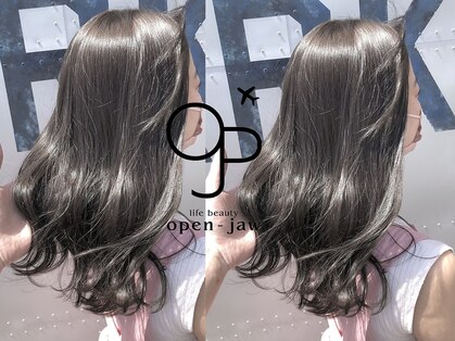 オープンジョー(Open Jaw)の写真