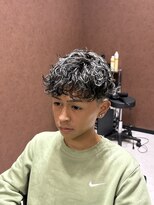 イー(E) シルバーメッシュ×スパインカール