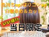 白髪染め＋カット 10%OFF 髪質改善TM付【色持ち/はりコシが気になる方へ】