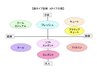 全メニューに併用可♪顔タイプ診断