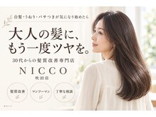 ニコ(NICCO)