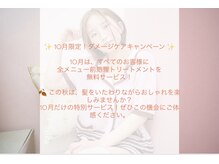 リリエニワ(LiLi eniwa)