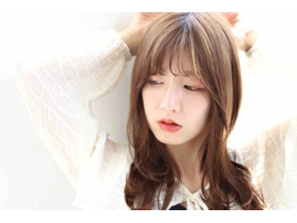 イロドリ(彩 irodori)の写真