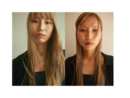 ドレープ(Dreap)の写真