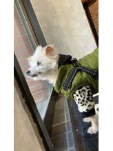 クリッパーズトウキョウ(CLIPPERS TOKYO)&nbsp;キャロル 