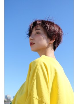 ザップ(ZAP) ハンサムショート