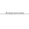 アングレカム(Angraecum)のお店ロゴ