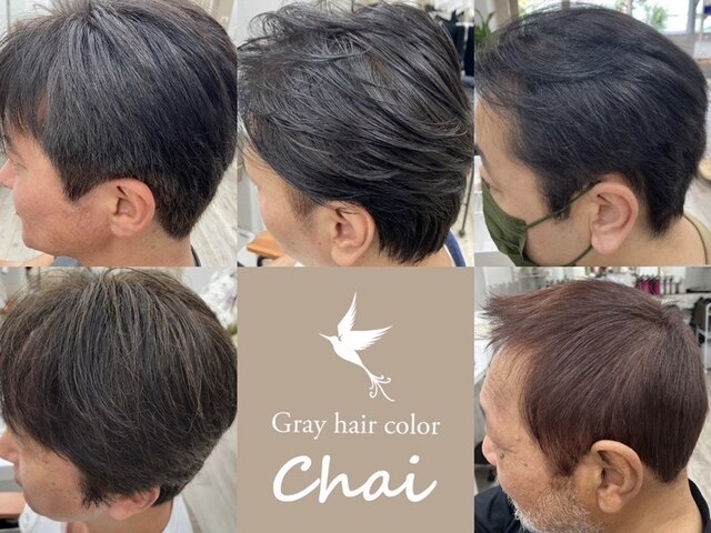 グレイヘアカラーチャイ(Gray hair color Chai)