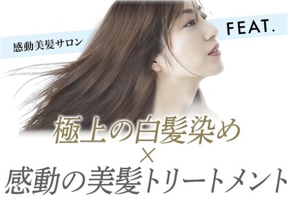 感動美髪サロンFEAT.天神大名【9月中旬NEW OPEN（予定）】の写真