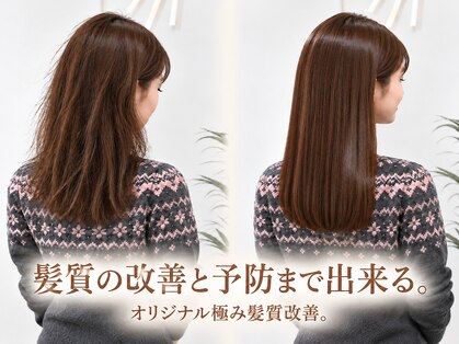 ミンツ(MINTS)の写真