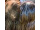 ニコ ヘアー(nico hair)の写真