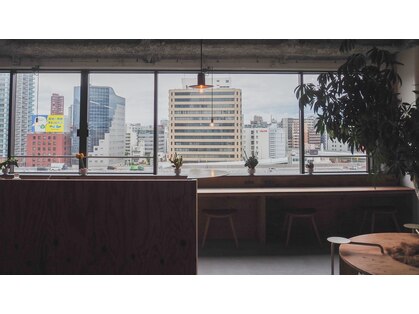 アイビー(IVY)の写真